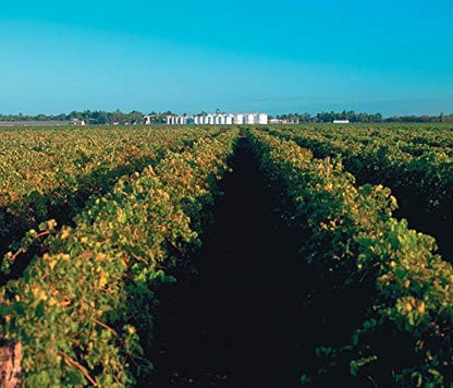 Lindeman's Early Harvest Lower Alcohol Pinot Grigio White Wine 750ml (Case of 6)